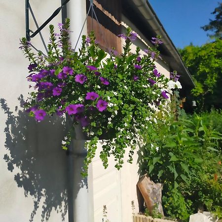Logis51 Apartman Ville-sur-Tourbe Kültér fotó