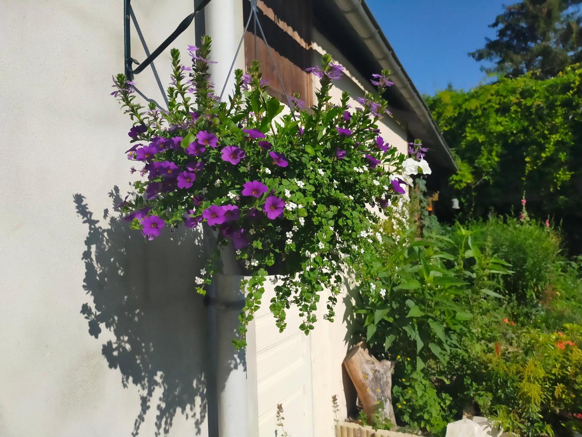 Logis51 Apartman Ville-sur-Tourbe Kültér fotó