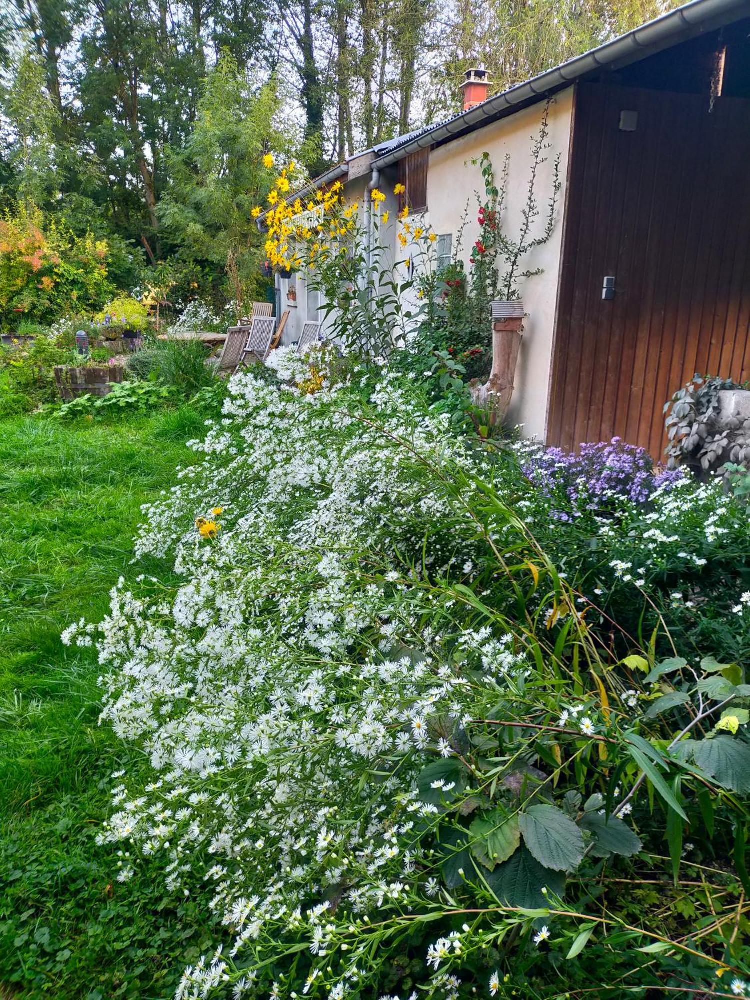 Logis51 Apartman Ville-sur-Tourbe Kültér fotó