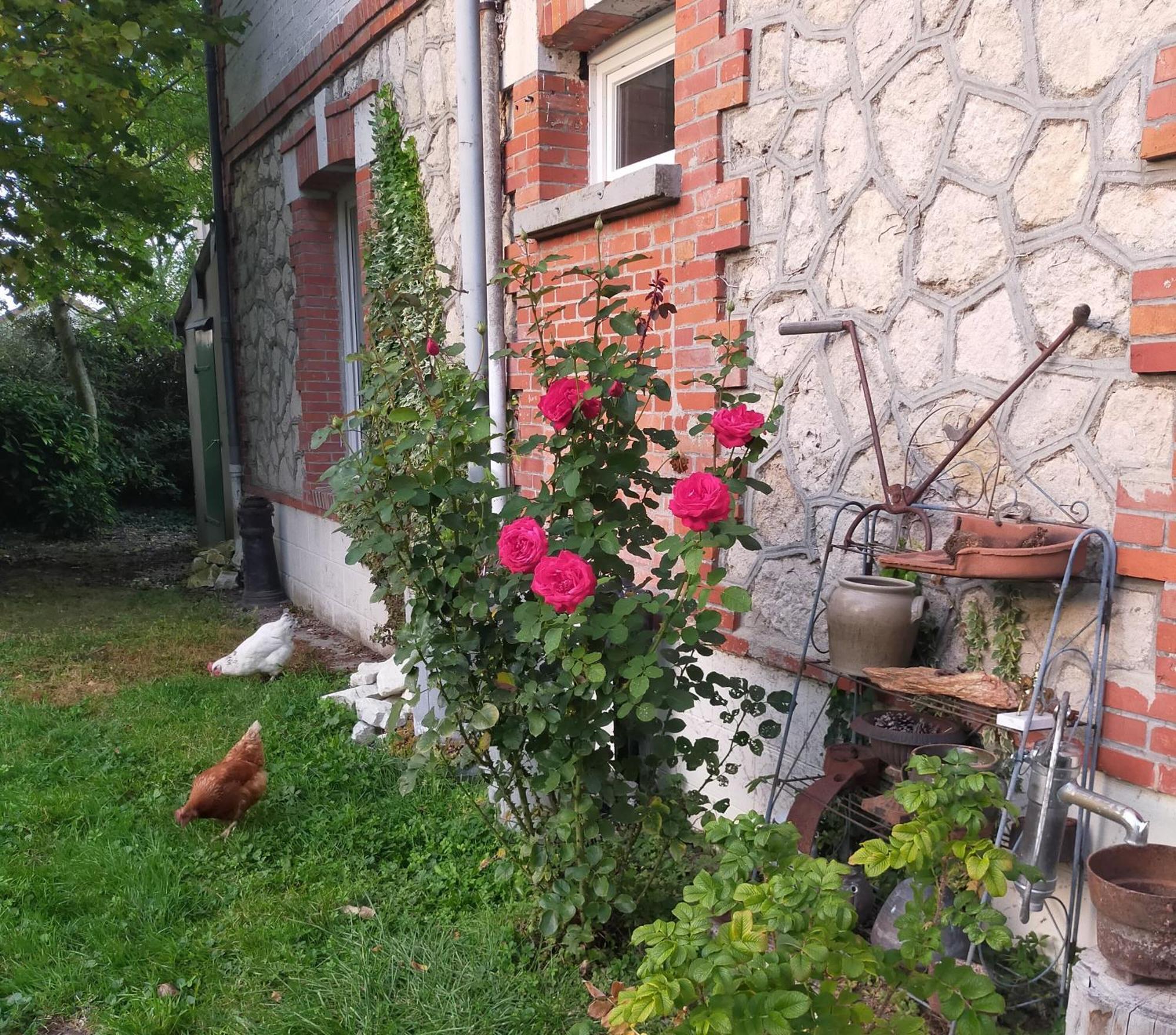 Logis51 Apartman Ville-sur-Tourbe Kültér fotó